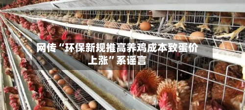 网传“环保新规推高养鸡成本致蛋价上涨	”系谣言-第3张图片