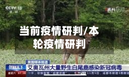 当前疫情研判/本轮疫情研判-第2张图片