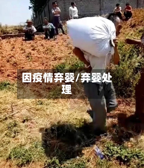 因疫情弃婴/弃婴处理-第2张图片