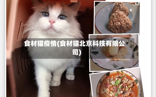 食材猫疫情(食材猫北京科技有限公司)-第3张图片
