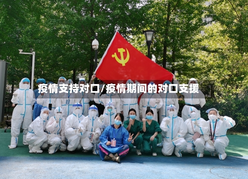 疫情支持对口/疫情期间的对口支援