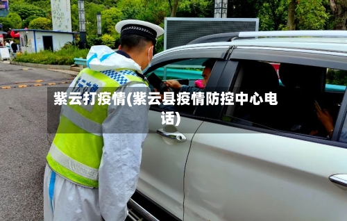 紫云打疫情(紫云县疫情防控中心电话)-第2张图片
