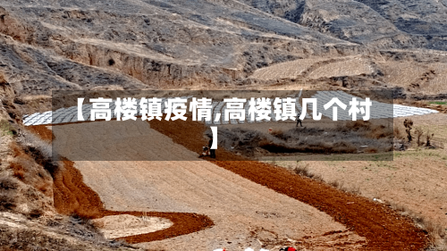 【高楼镇疫情,高楼镇几个村】