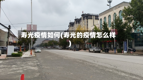 寿光疫情如何(寿光的疫情怎么样)-第3张图片