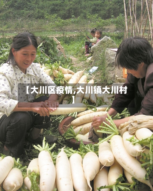 【大川区疫情,大川镇大川村】