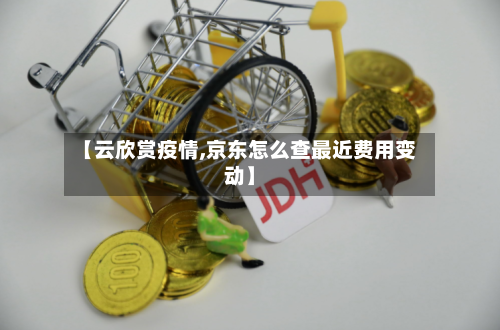 【云欣赏疫情,京东怎么查最近费用变动】-第3张图片