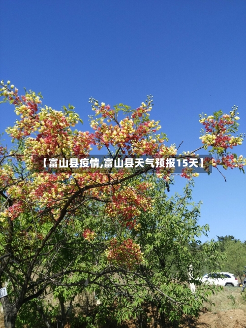 【富山县疫情,富山县天气预报15天】-第3张图片