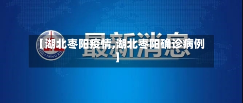 【湖北枣阳疫情,湖北枣阳确诊病例】