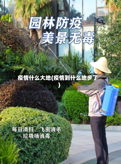 疫情什么大地(疫情到什么地步了)-第2张图片