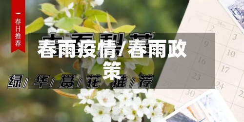春雨疫情/春雨政策-第3张图片