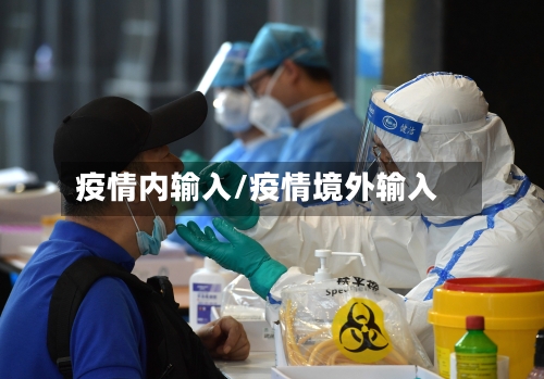 疫情内输入/疫情境外输入
