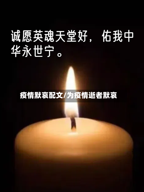 疫情默哀配文/为疫情逝者默哀-第2张图片