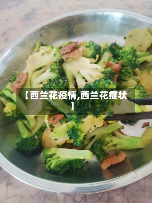 【西兰花疫情,西兰花症状】