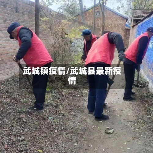 武城镇疫情/武城县最新疫情-第2张图片