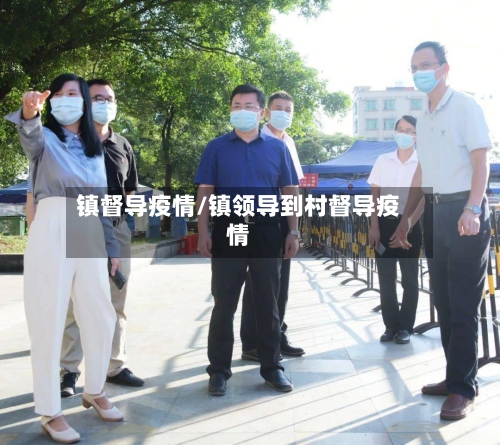 镇督导疫情/镇领导到村督导疫情-第3张图片