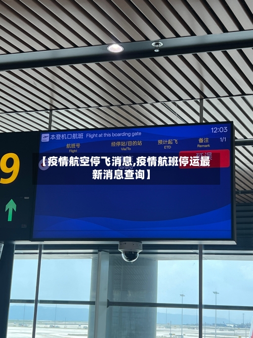 【疫情航空停飞消息,疫情航班停运最新消息查询】