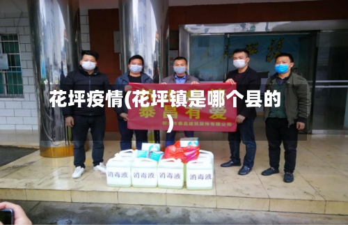 花坪疫情(花坪镇是哪个县的)