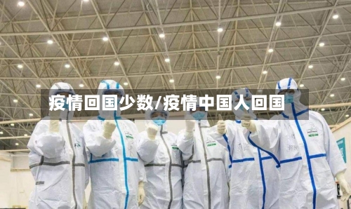 疫情回国少数/疫情中国人回国