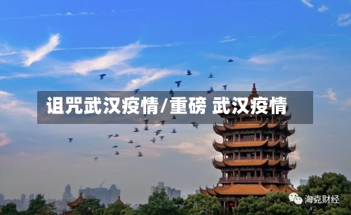 诅咒武汉疫情/重磅 武汉疫情-第3张图片