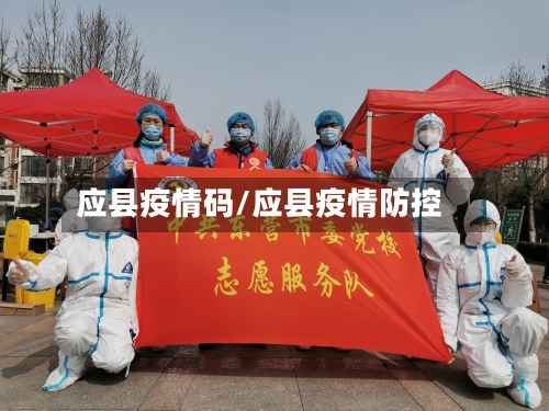 应县疫情码/应县疫情防控-第2张图片