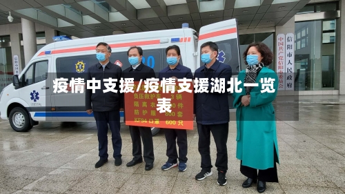 疫情中支援/疫情支援湖北一览表