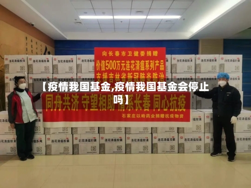 【疫情我国基金,疫情我国基金会停止吗】-第3张图片