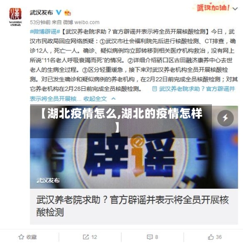 【湖北疫情怎么,湖北的疫情怎样】-第2张图片