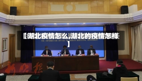 【湖北疫情怎么,湖北的疫情怎样】