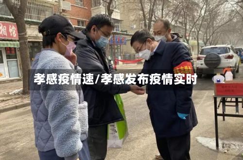 孝感疫情速/孝感发布疫情实时-第3张图片