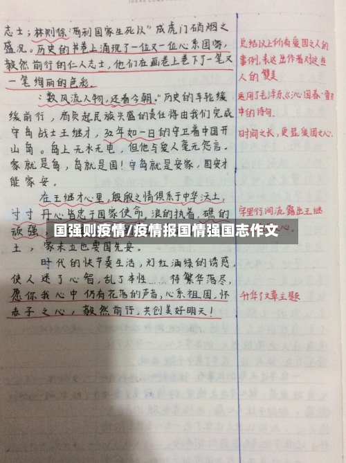 国强则疫情/疫情报国情强国志作文-第2张图片