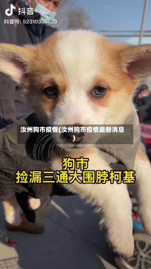 汝州狗市疫情(汝州狗市疫情最新消息)-第3张图片