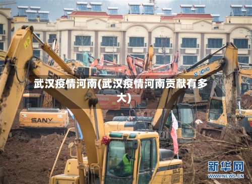 武汉疫情河南(武汉疫情河南贡献有多大)-第2张图片