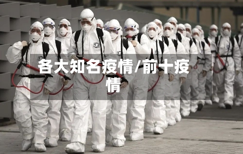 各大知名疫情/前十疫情-第2张图片