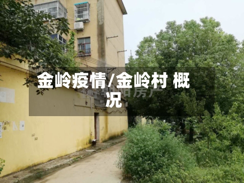 金岭疫情/金岭村 概况