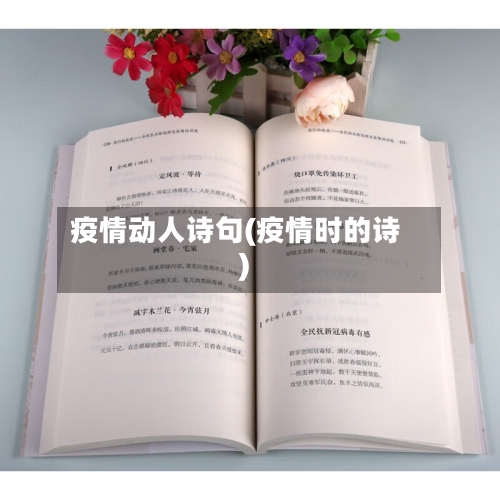 疫情动人诗句(疫情时的诗)