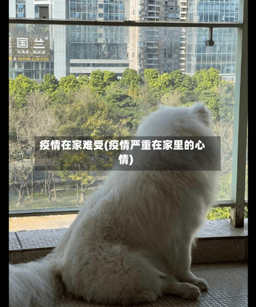 疫情在家难受(疫情严重在家里的心情)