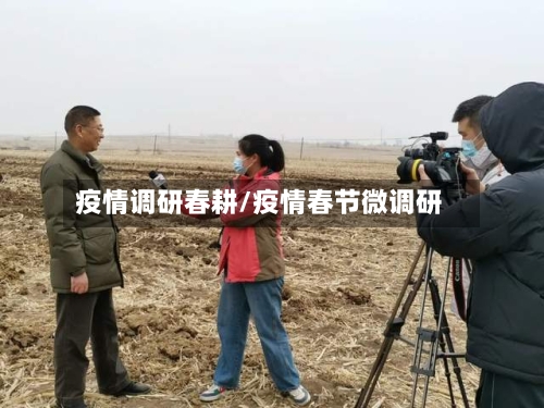 疫情调研春耕/疫情春节微调研