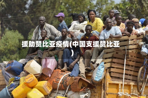 援助赞比亚疫情(中国支援赞比亚)