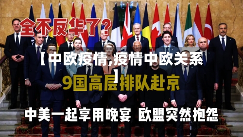 【中欧疫情,疫情中欧关系】-第2张图片