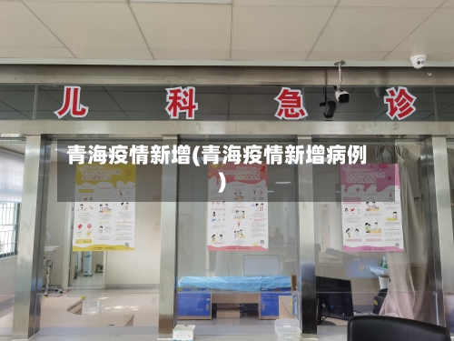 青海疫情新增(青海疫情新增病例)-第2张图片