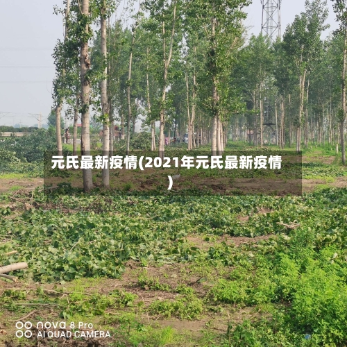 元氏最新疫情(2021年元氏最新疫情)
