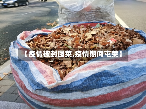 【疫情被封囤菜,疫情期间屯菜】