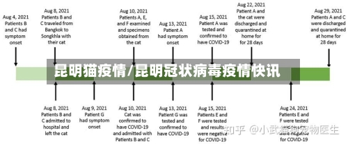 昆明猫疫情/昆明冠状病毒疫情快讯