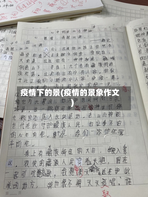 疫情下的景(疫情的景象作文)