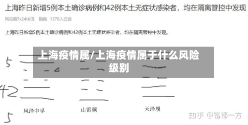 上海疫情属/上海疫情属于什么风险级别