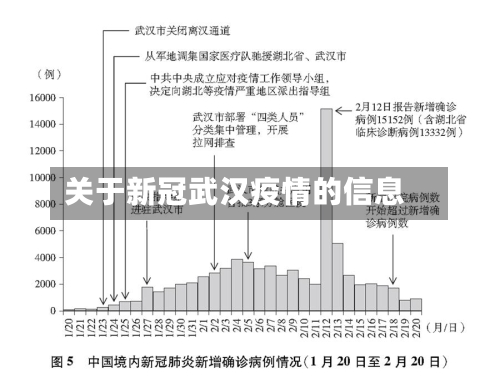 关于新冠武汉疫情的信息
