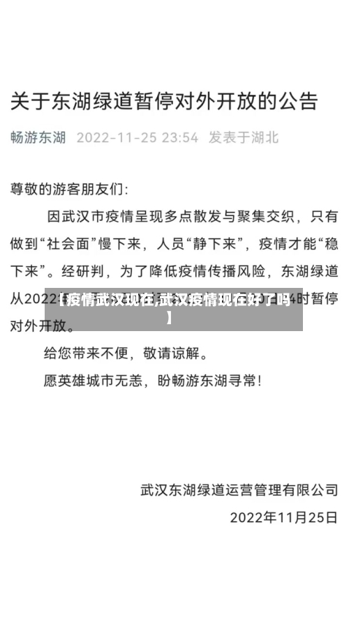 【疫情武汉现在,武汉疫情现在好了吗】-第2张图片