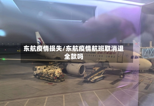 东航疫情损失/东航疫情航班取消退全款吗
