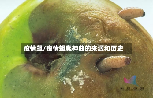 疫情蛆/疫情蛆爬神曲的来源和历史