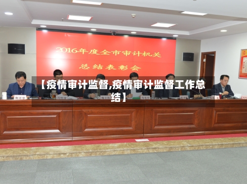 【疫情审计监督,疫情审计监督工作总结】
